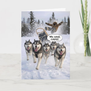 Birthday Humour Huskies Pulling a Sled Card