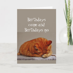 Birthday Humour Over the Hill Disgusted Cat Card
