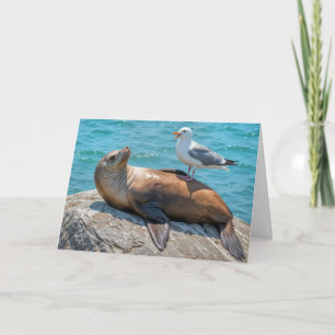 Birthday Humour Seagull Perched On a Sea Lion Card