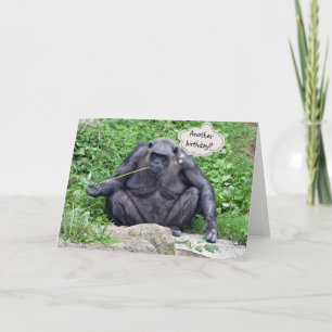 Birthday humour with chimpanzee card