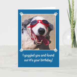 Birthday - I Goggled You - Australian Shepherd Dog Card