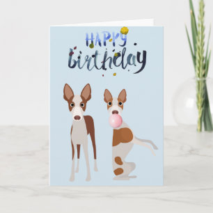 Birthday Ibizan Hound Dog Animal Bubble Gum Card