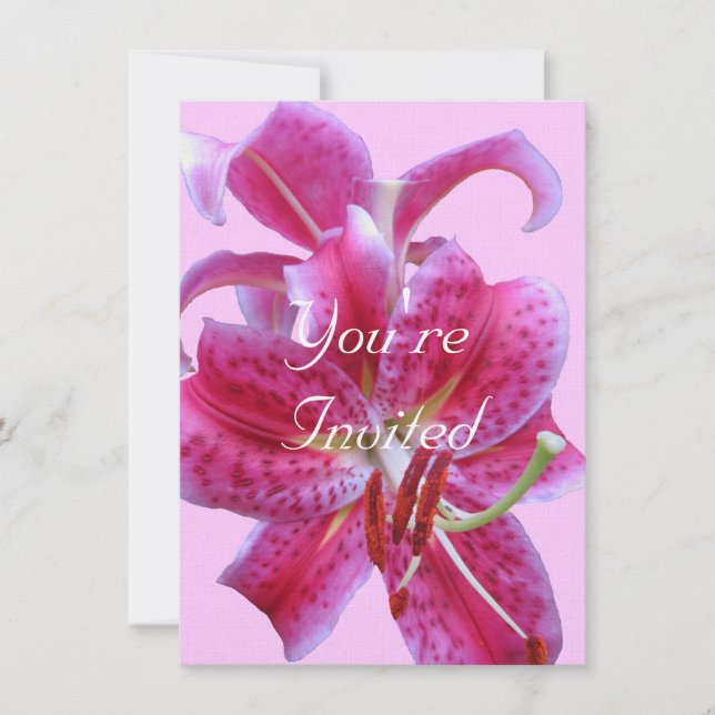 Birthday Invitation--Stargazers Outline Invitation (Front)