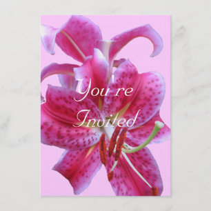 Birthday Invitation--Stargazers Outline Invitation