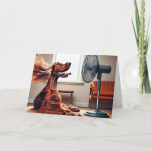 Birthday Irish Setter With Blowing Fan Card