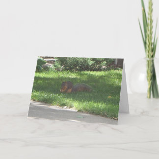 Birthday Jazz Squirrel Card