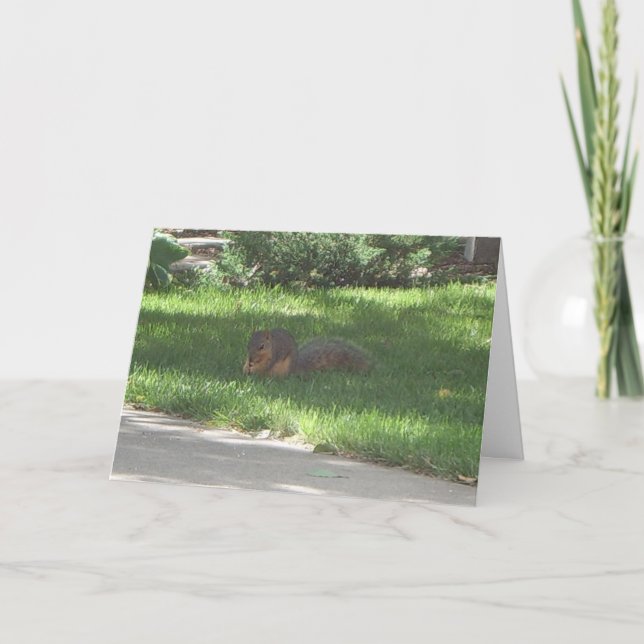 Birthday Jazz Squirrel Card (Front)