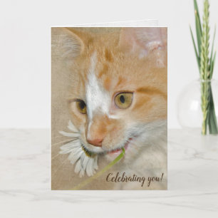 birthday kitten with daisy card