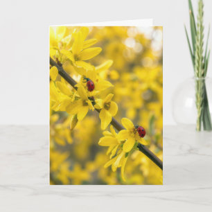 Birthday Ladybugs on Forsythia Branch Card