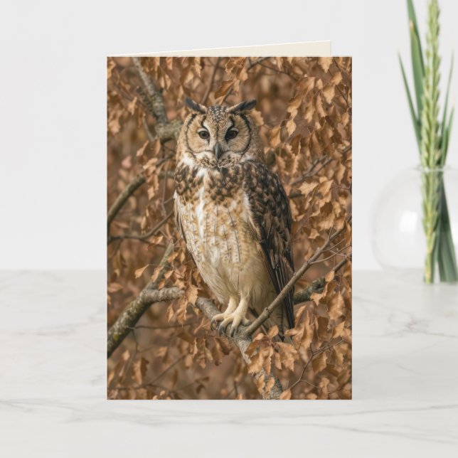 Birthday Long-eared Owl Humour Card (Front)