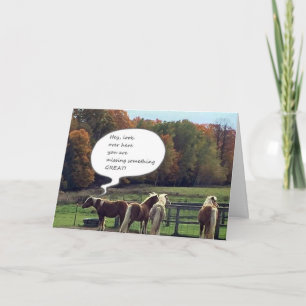 **BIRTHDAY MESSAGE** FROM SOME COOL HORSES CARD