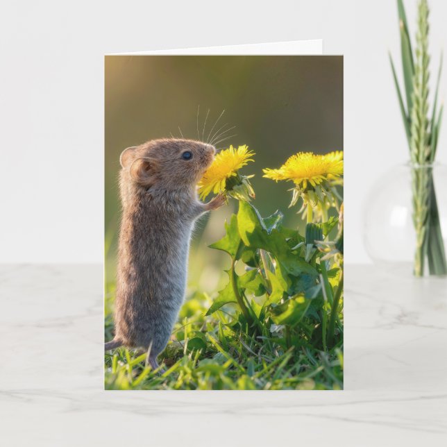 Birthday Mouse Smelling a Yellow Dandelion Card (Front)