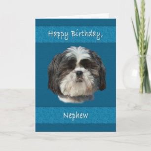 Birthday,  Nephew, Shih Tzu Dog Card