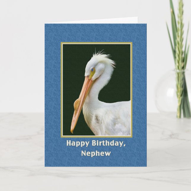 Birthday, Nephew, White Pelican Bird Card (Front)