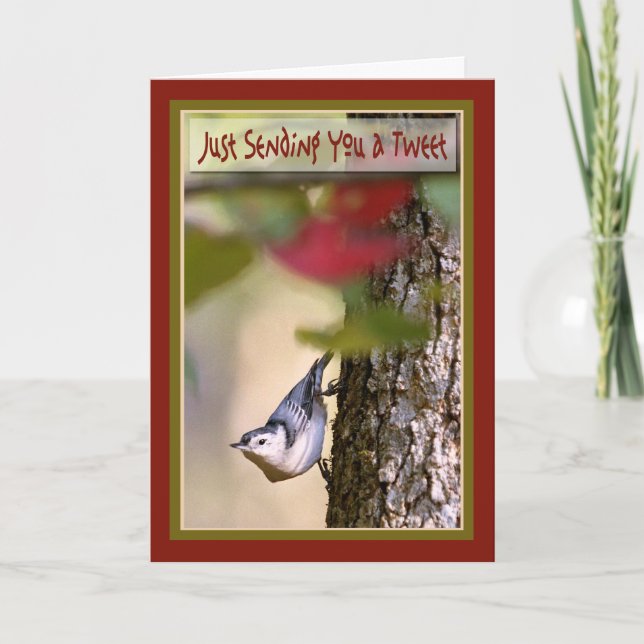 Birthday - Nuthatch Greeting Card (Front)