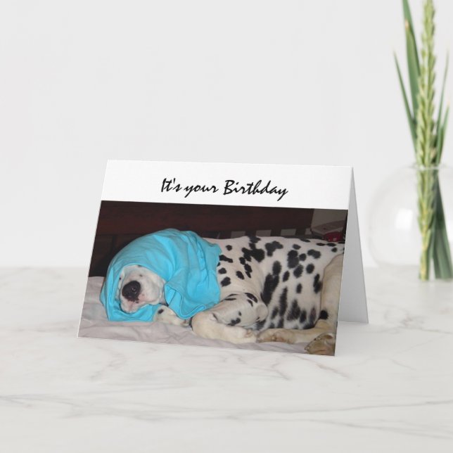 Birthday Old Age Not Happy, Humour with Dog Card (Front)