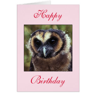 Birthday Owl Greeting Card