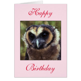 Birthday Owl Greeting Card