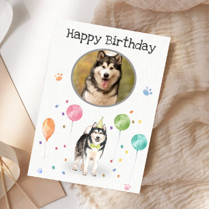 Birthday Party Alaskan Malamute Card