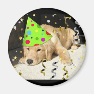 Birthday Party Animal Golden Retriever Magnet