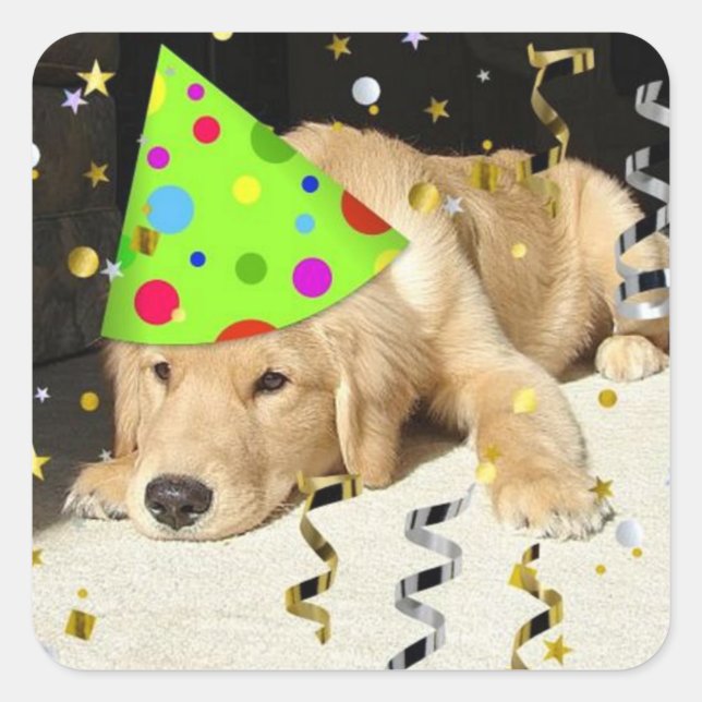 Birthday Party Animal Golden Retriever Square Sticker (Front)