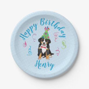 Birthday Party Berner Paper Plate