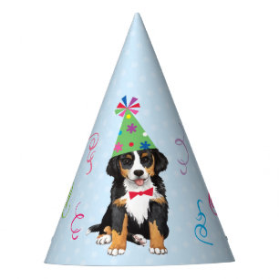 Birthday Party Berner Party Hat