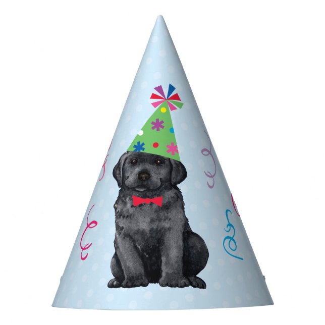 Birthday Party Black Lab Hat (Front)