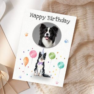 Birthday Party Border Collie Dog Animal Card