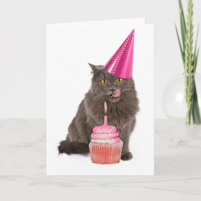 Birthday Party Cat Greeting Card (Front)