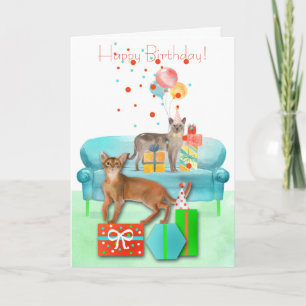 Birthday Party Cats with Hats and Gifts Birthday  Card