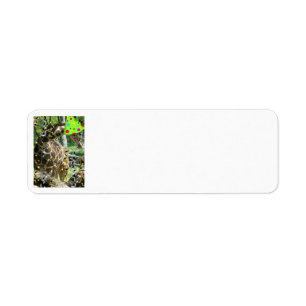 Birthday Party Giraffe Return Address Label
