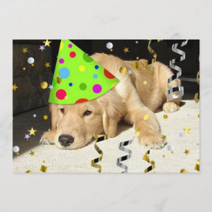 Birthday Party Golden Retriever Invitation