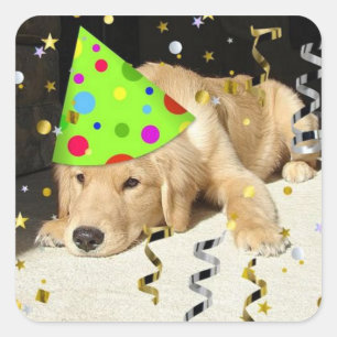 Birthday Party Golden Retriever Square Sticker