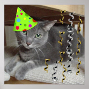 Birthday Party Grey Cat Poster