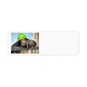 Birthday Party Horse Return Address Label