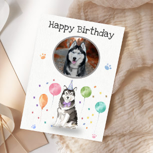 Birthday Party Husky Sibir Dog Animal Card