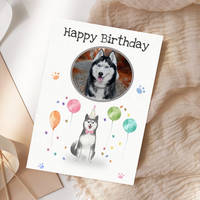 Birthday Party Husky Sibir  Dog Animal Card (Creator Uploaded)