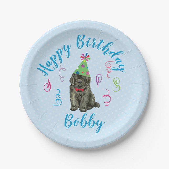 Birthday Party Newfoundland Paper Plate (Front)