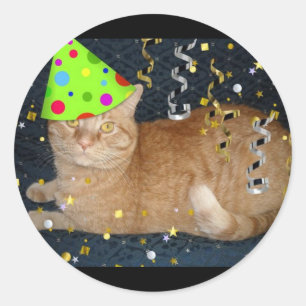 Birthday Party Orange Tabby Cat Classic Round Sticker