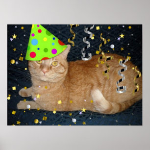 Birthday Party Orange Tabby Cat Poster