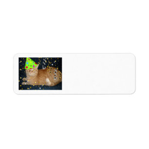 Birthday Party Orange Tabby Cat Return Address Label