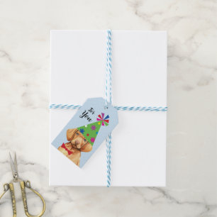 Birthday Party Vizsla Gift Tags
