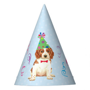 Birthday Party Welsh Springer Spaniel Hat