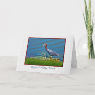 Birthday, Pastor, Little Blue Heron Card