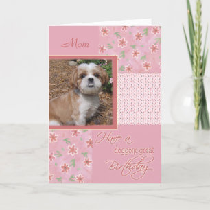Birthday  - Pet Photo Card