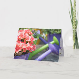 Birthday-pink begonia in purple watering can card