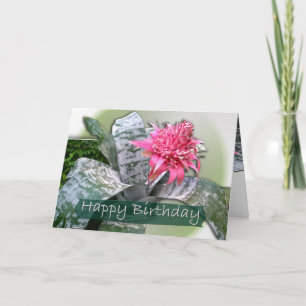 Birthday Pink Bromeliad Card