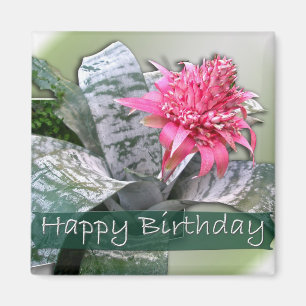 Birthday Pink Bromeliad Magnet