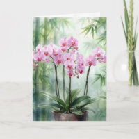 Birthday Pink Orchids On Green Bamboo